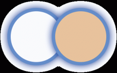 <b>有会计从业资历证书</b>